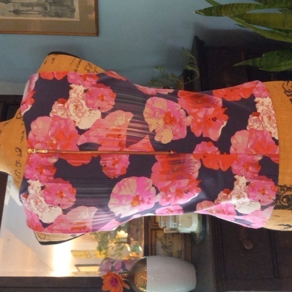 Cynthia Rowley Pink Floral Striped Scuba Bodycon Sleeveless Blouse - Picture 6 of 10